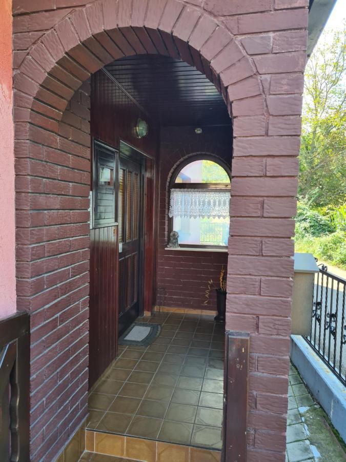 In Pavlovic Apartamento Banja Koviljača Exterior foto