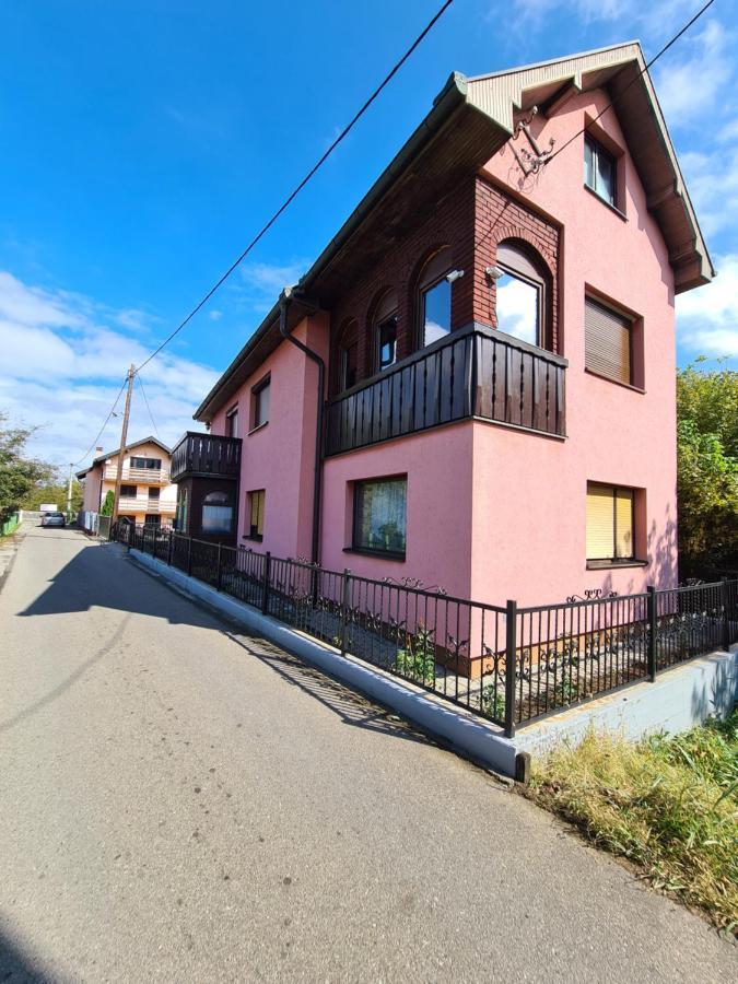 In Pavlovic Apartamento Banja Koviljača Exterior foto
